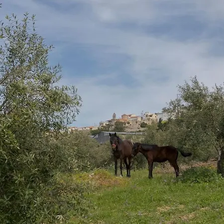 Tranditional Stone House * Agios Myronas